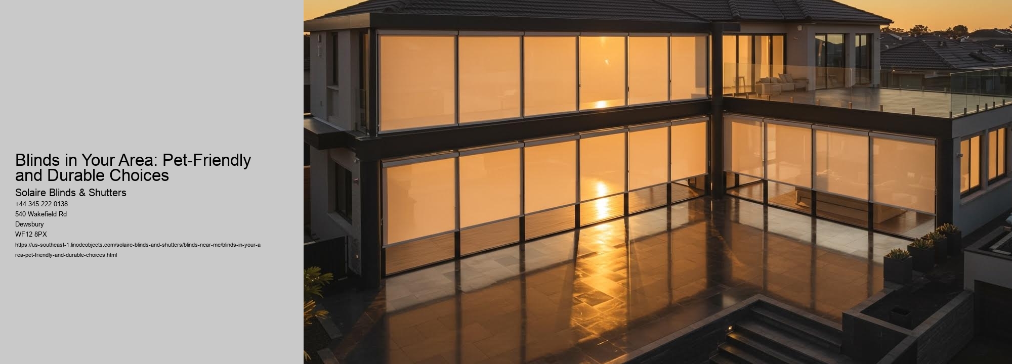 Blinds in Your Area: Pet-Friendly and Durable Choices